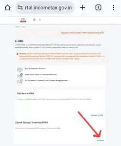 Online-pan