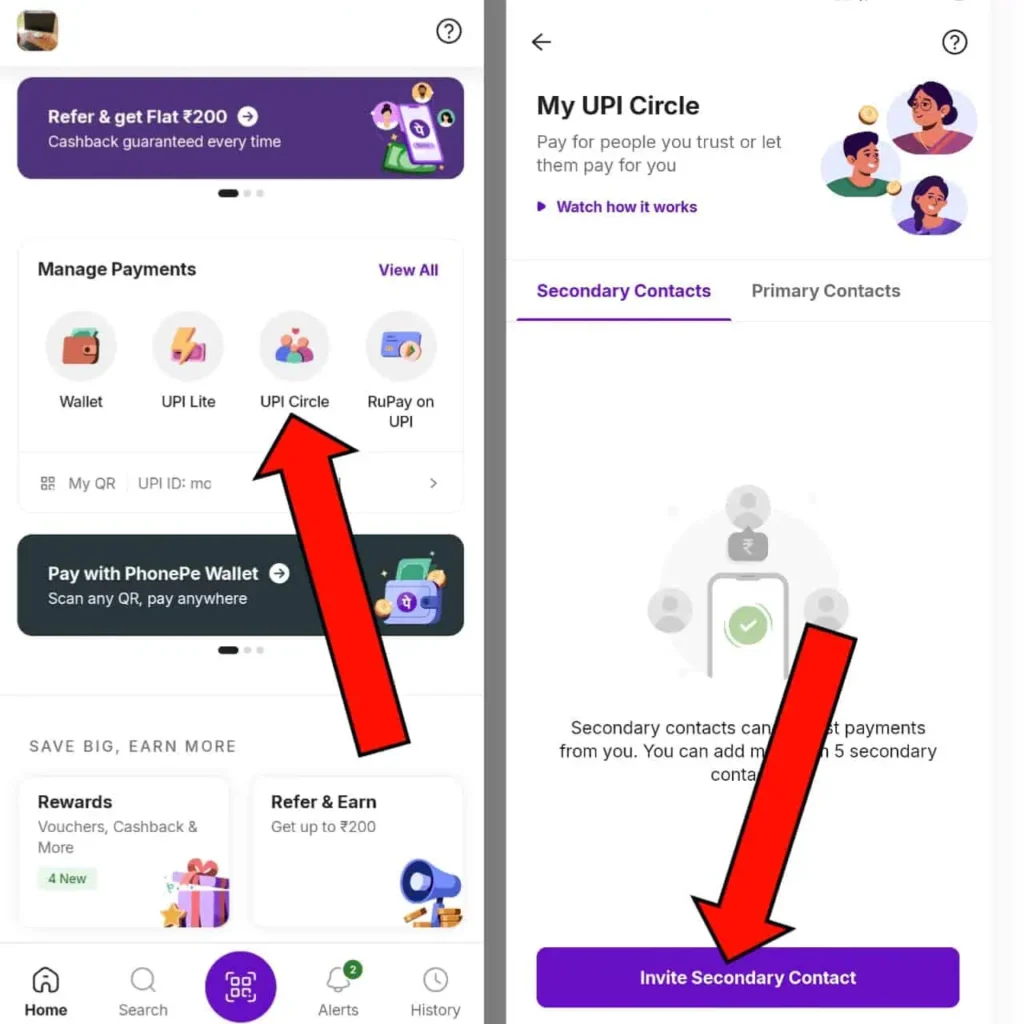 How To Use Upi Circle